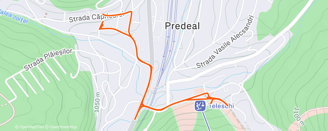 Карта физической активности (Afternoon Walk)