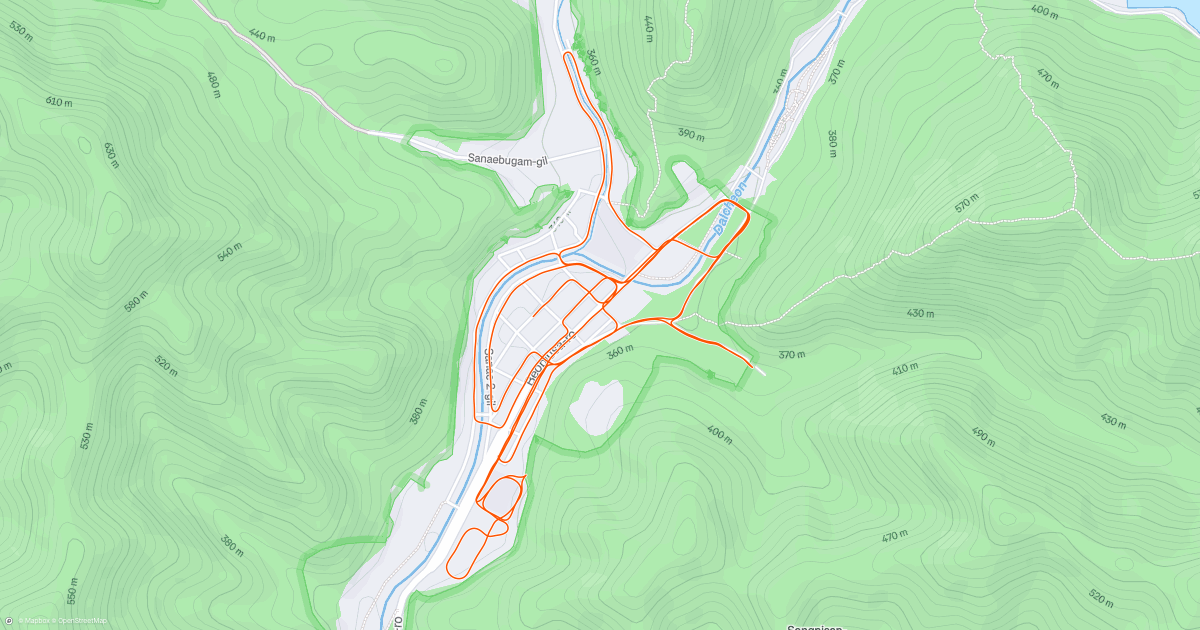 Evening Run | Strava