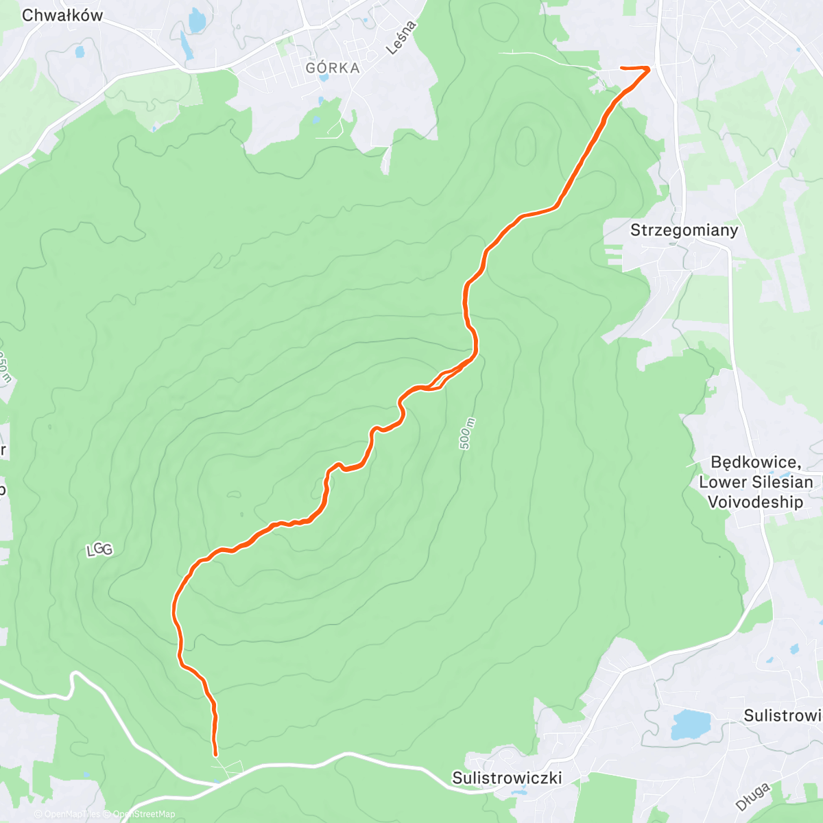 Карта физической активности (Ślęża x2 Trail Run 🏔🌨)