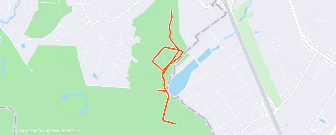 Map of the activity, Северный лыжный заезд (утро)