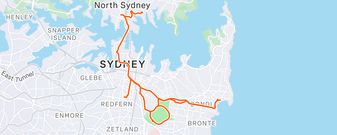 Map of the activity, Day 365