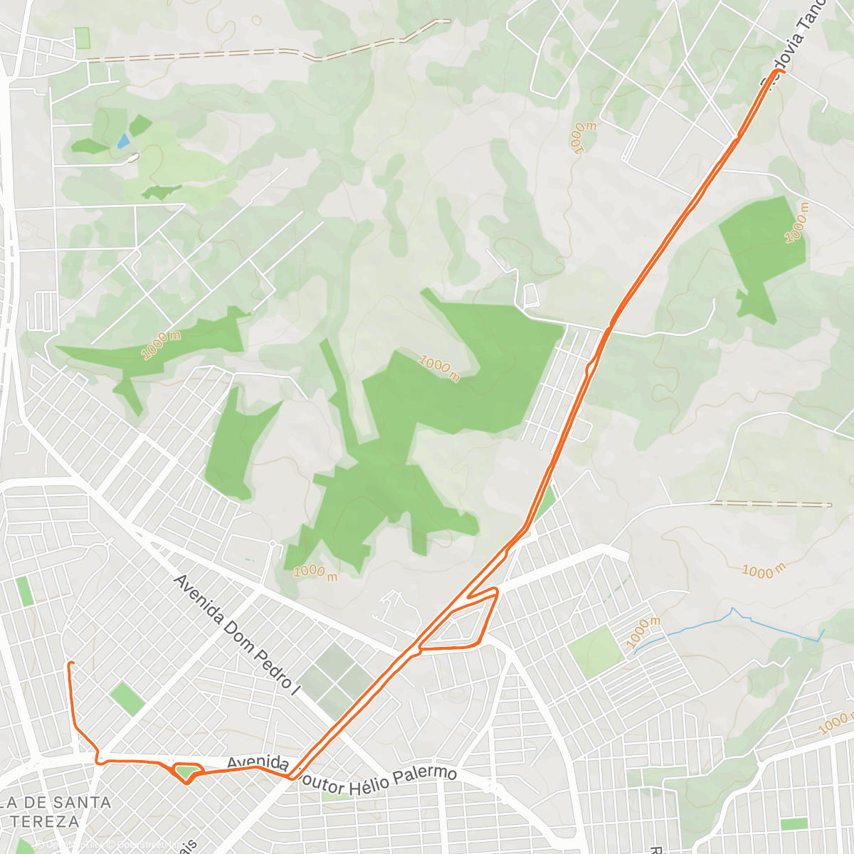 Walter Froes | Perfil de Corredor do Strava