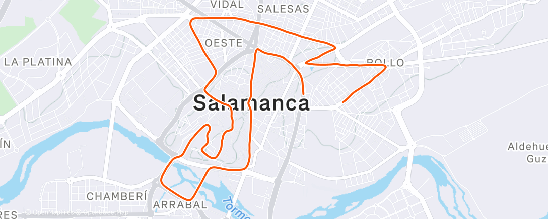 Карта физической активности (San silvestre Salmantina 2025)