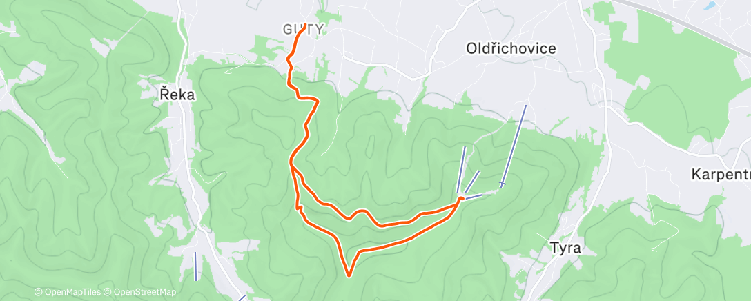 Карта физической активности (Javorový)