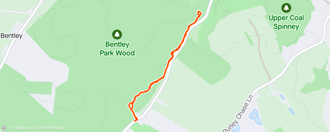 Karte der Aktivität „Bluebell woods walk for Benji's birthday”