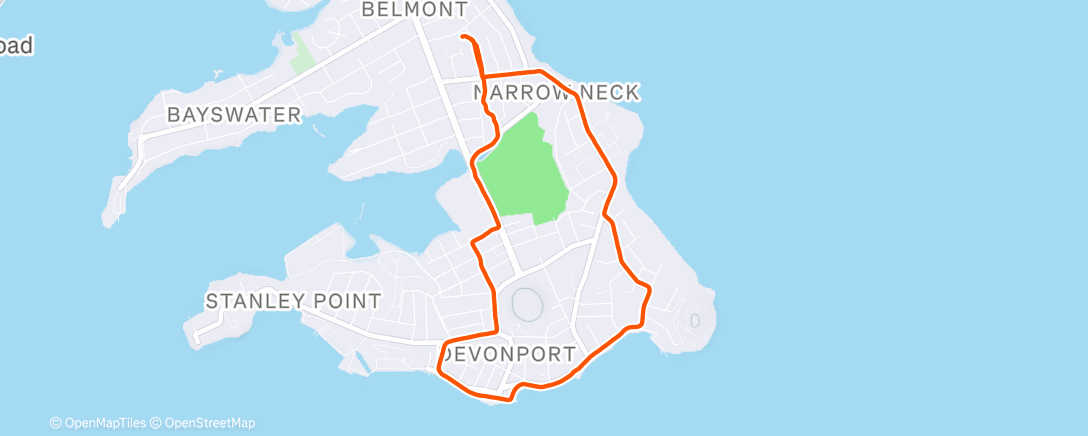 Карта физической активности (Morning Run)