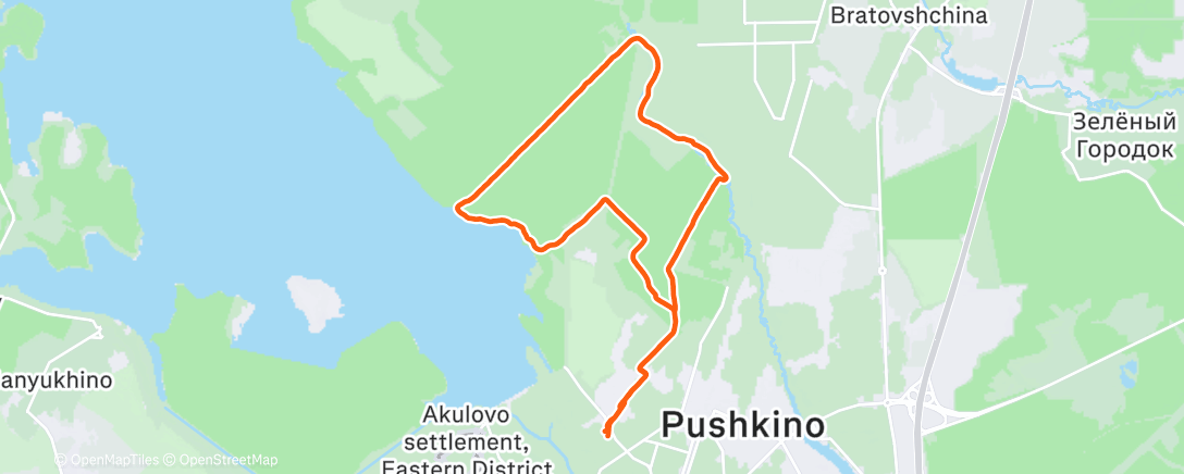 Карта физической активности (Утренний забег)