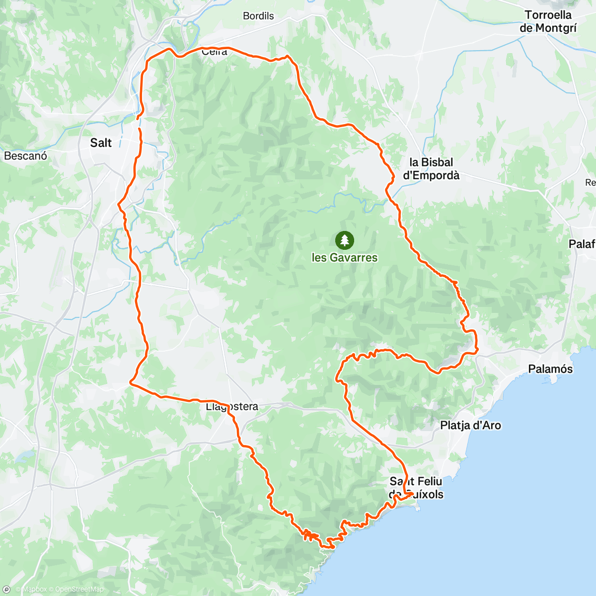 Mapa de la actividad (TeaⓂ️ ride)