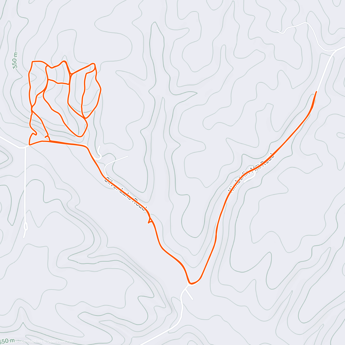 Map of the activity, Christmas walk with my babies