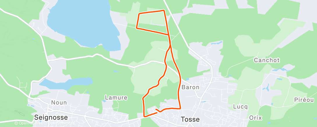 Карта физической активности (Morning Trail Run)