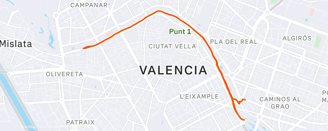 Карта физической активности (Lunch Run)