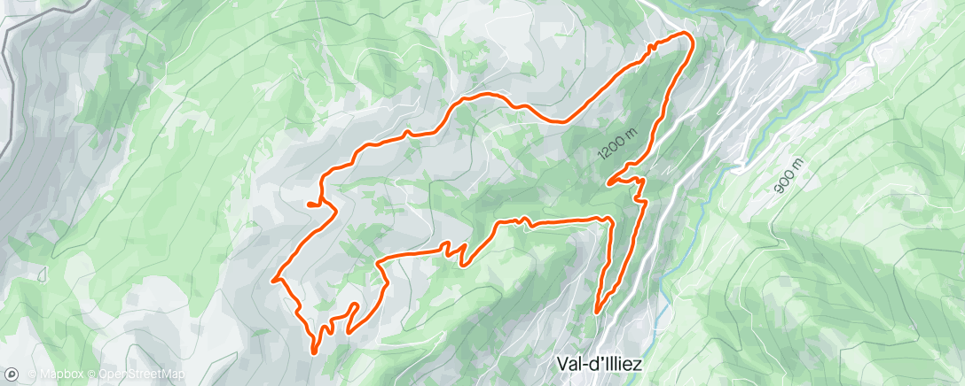 Mappa dell'attività Afternoon Run