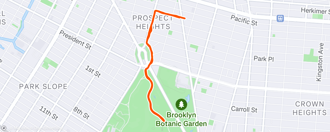 Map of the activity, Morning Run