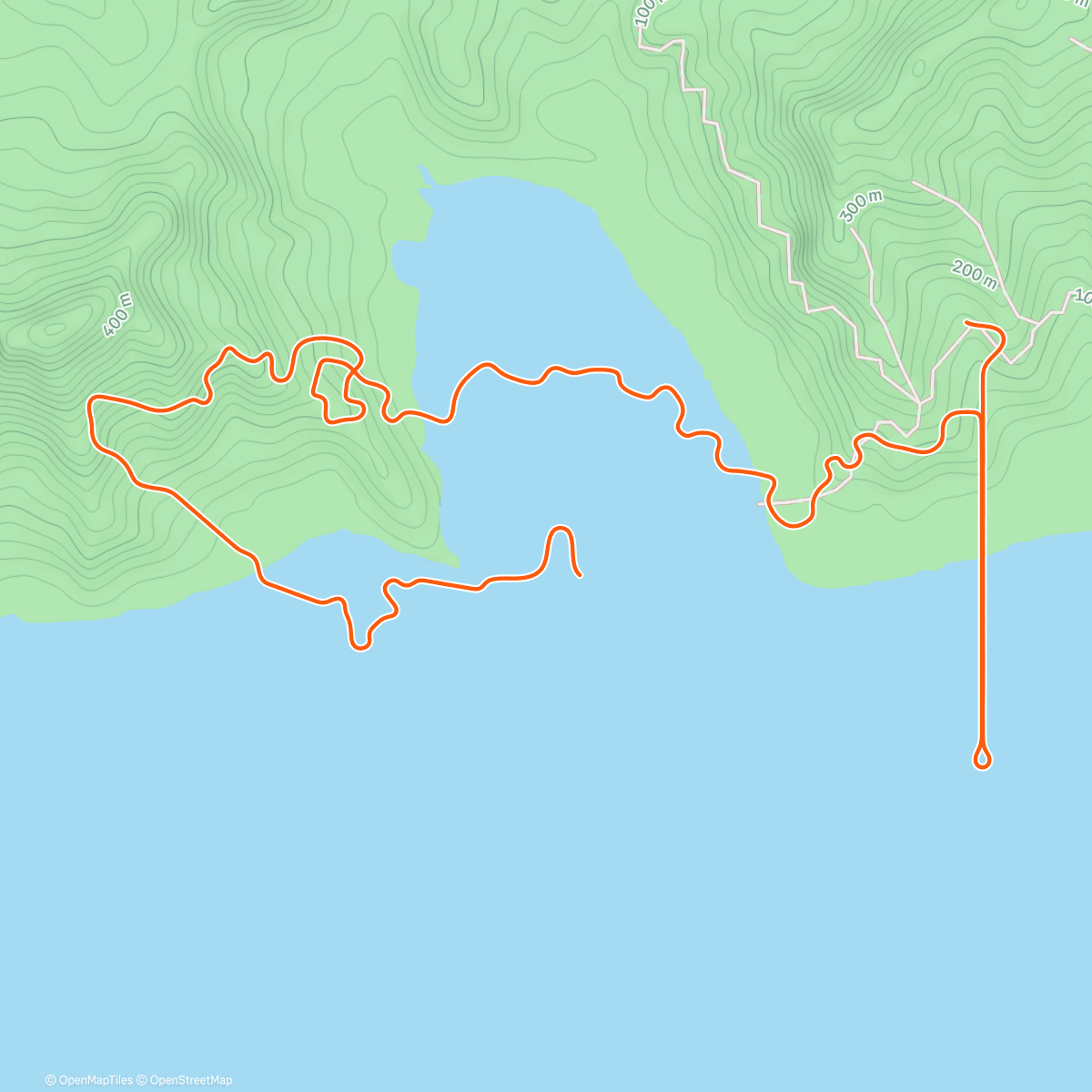 Карта физической активности (Zwift - RoadBike on Radio Rendezvous in Watopia)