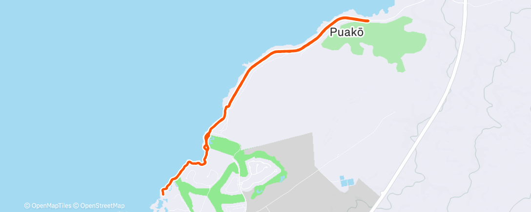 Карта физической активности (Morning Run)