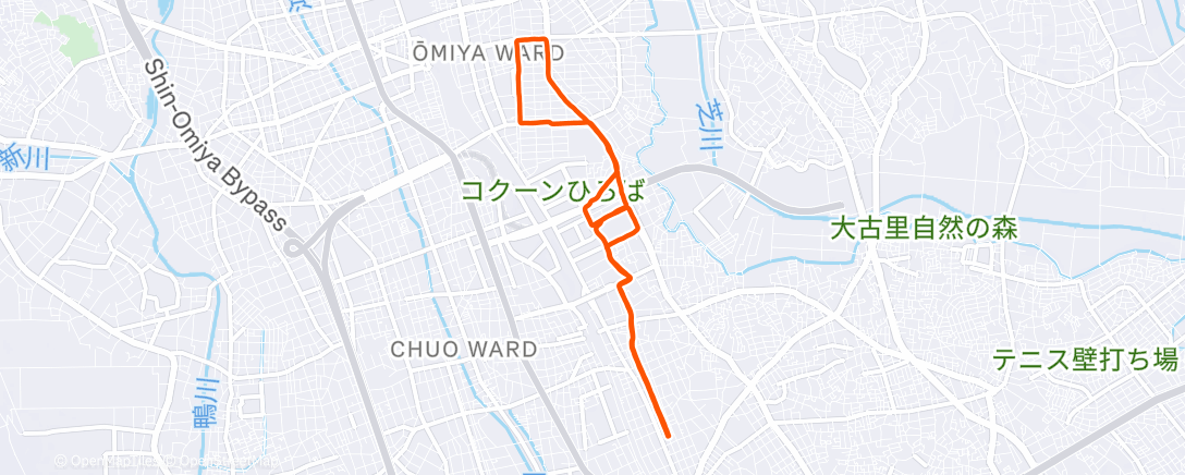 Map of the activity, 夕方のランニング