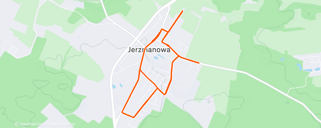 Map of the activity, Morning Run