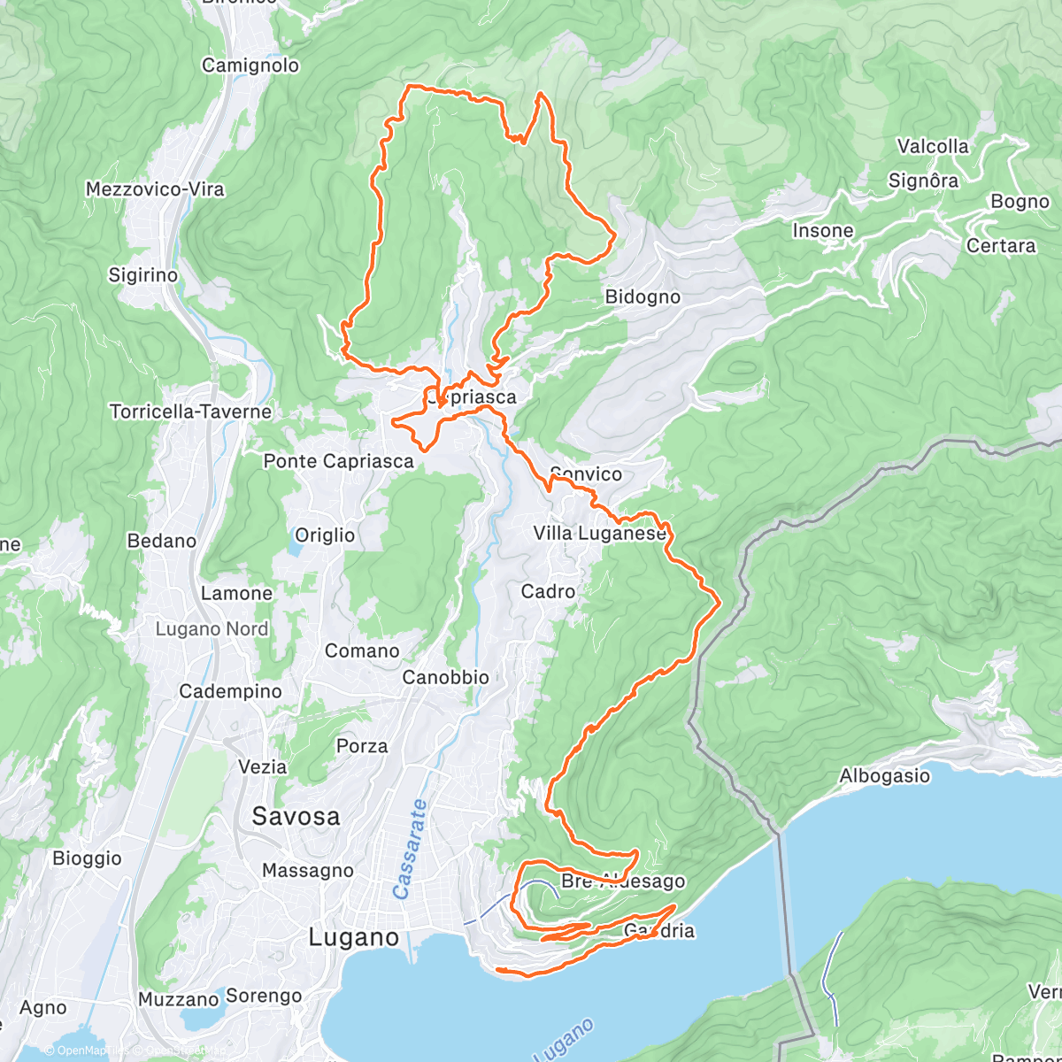 Карта физической активности (Scenic 2026 Prep.)