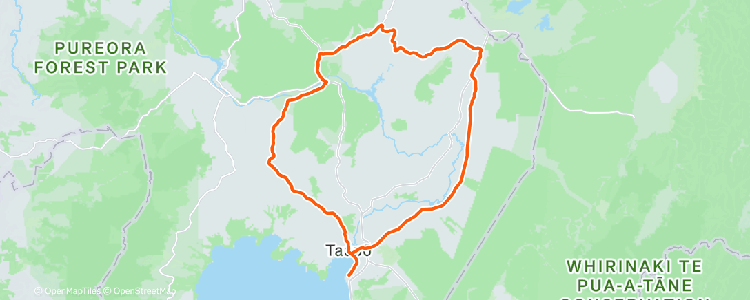 Map of the activity, Got swooped by 3 magpies, lived to tell the tale