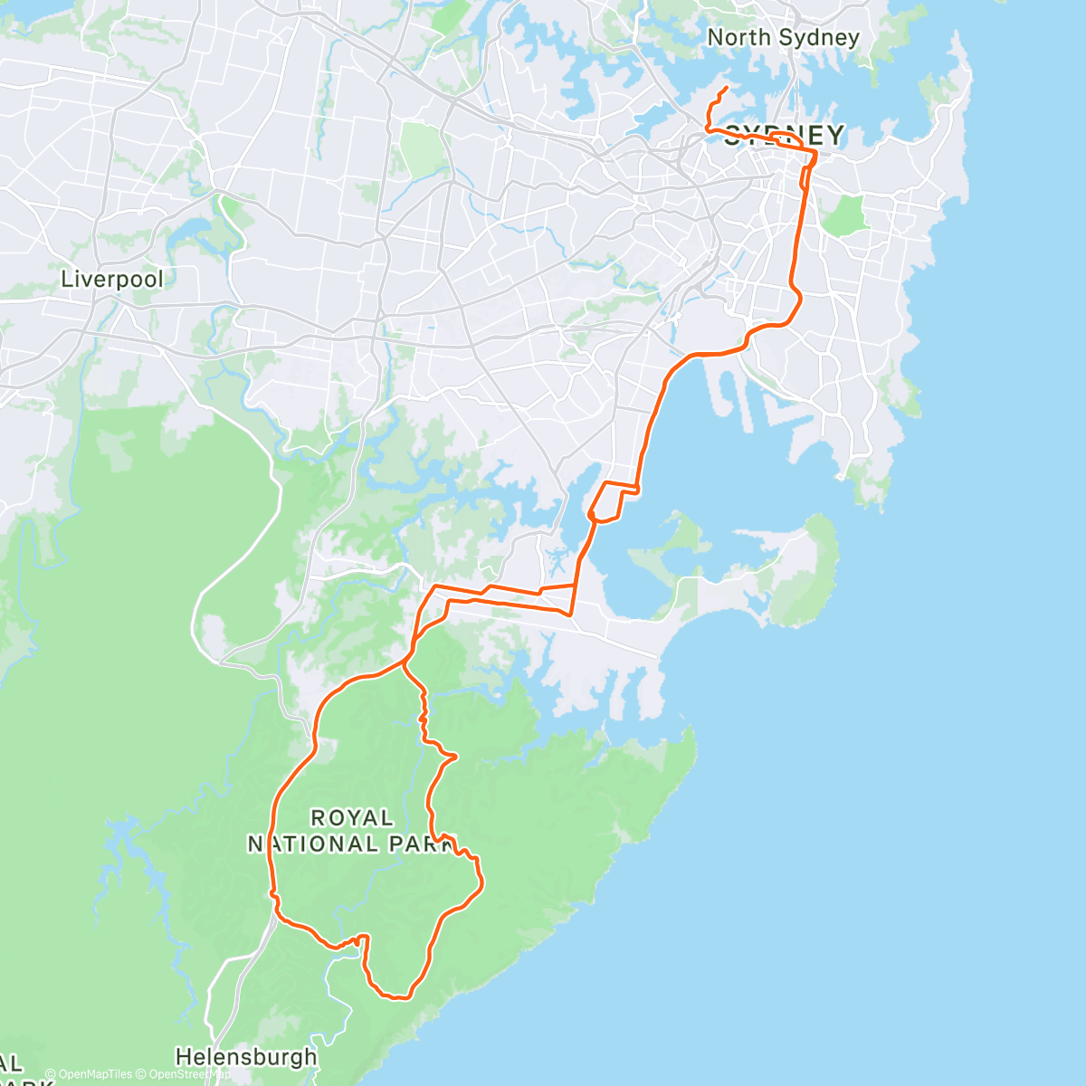 Map of the activity, Coluzzi Reverso 🌶️