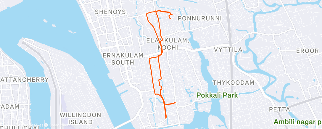 Карта физической активности (Last run for the year)