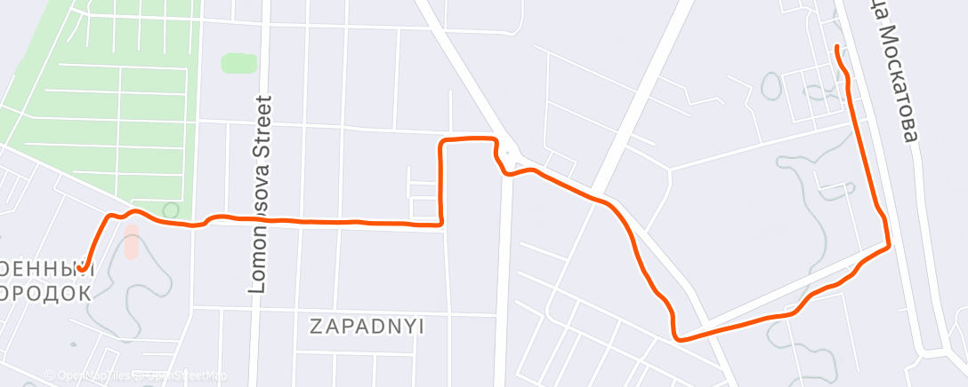 Карта физической активности (Вечерний забег)