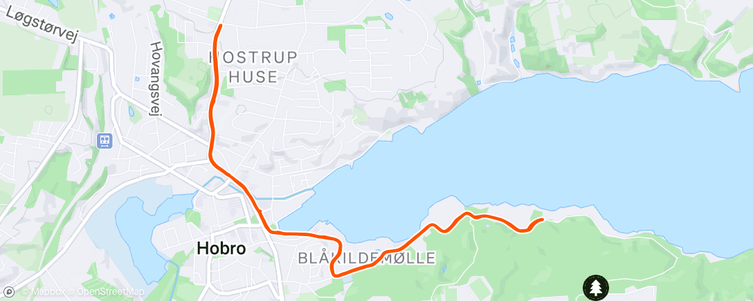 Map of the activity, Hill reps