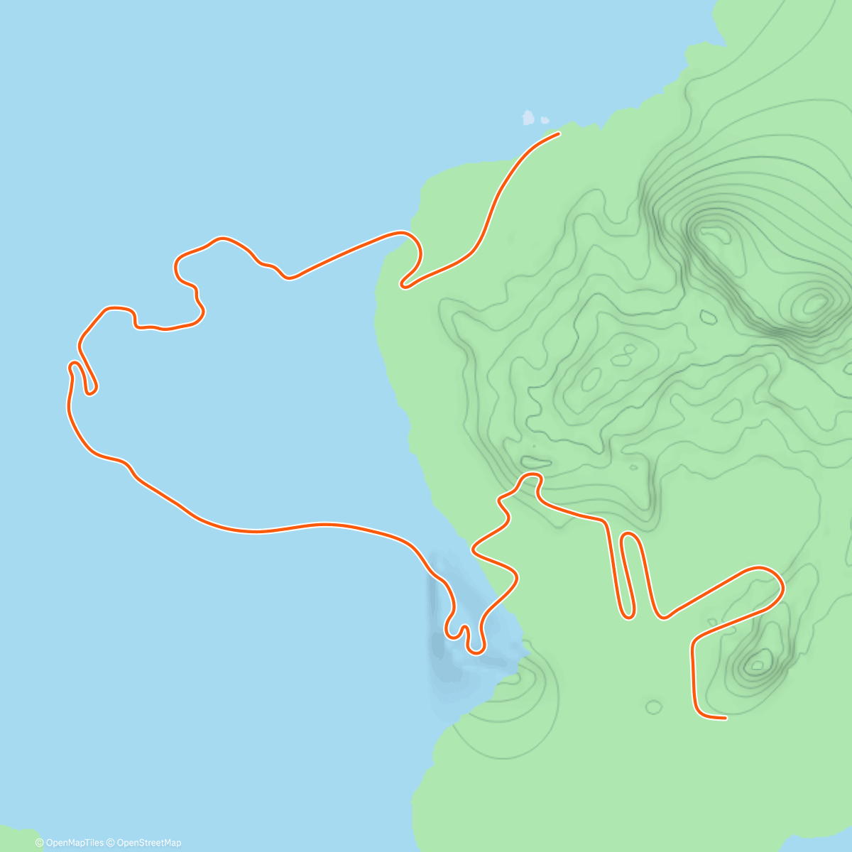Map of the activity, Zwift - Beach Island Loop in Watopia