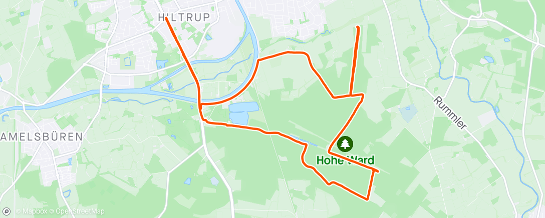 「17km lockerer DL - Mal den Wald testen 🌳」活動的地圖