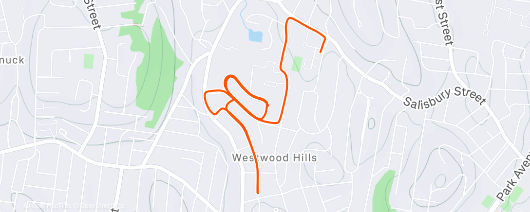 Map of the activity, Morning Run