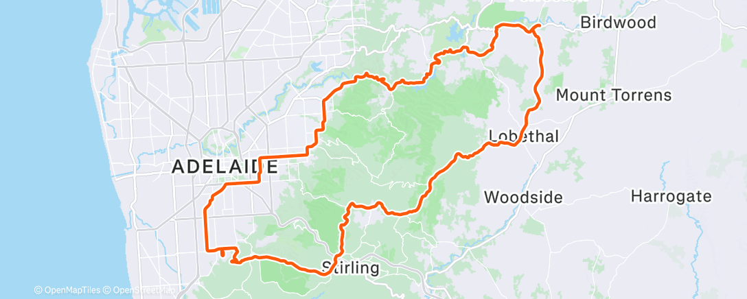 Map of the activity, I can always tell what's inside of a box covered in wrapping paper. 
What can I say? It's a gift…