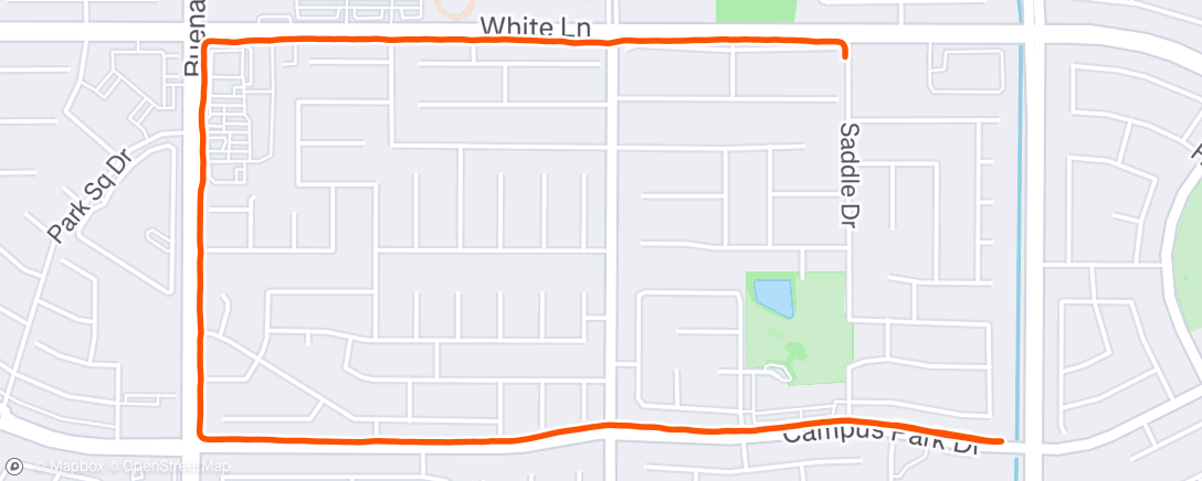 Map of the activity, Morning Run