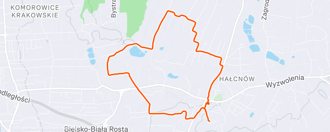 Карта физической активности (Morning Walk)