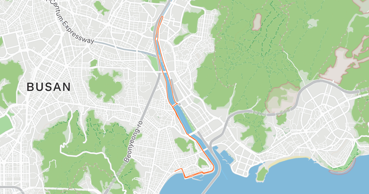 Evening Run | Strava
