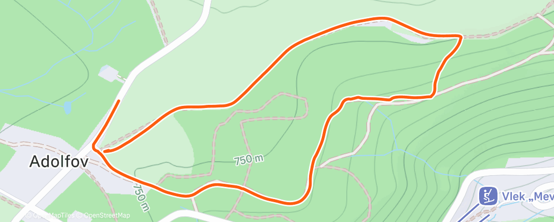 Карта физической активности (Afternoon Walk)