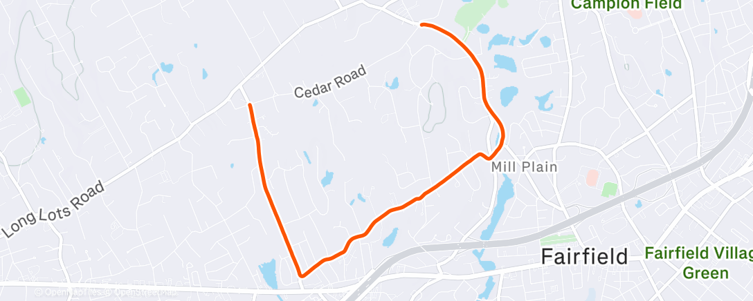 Map of the activity, Morning Run