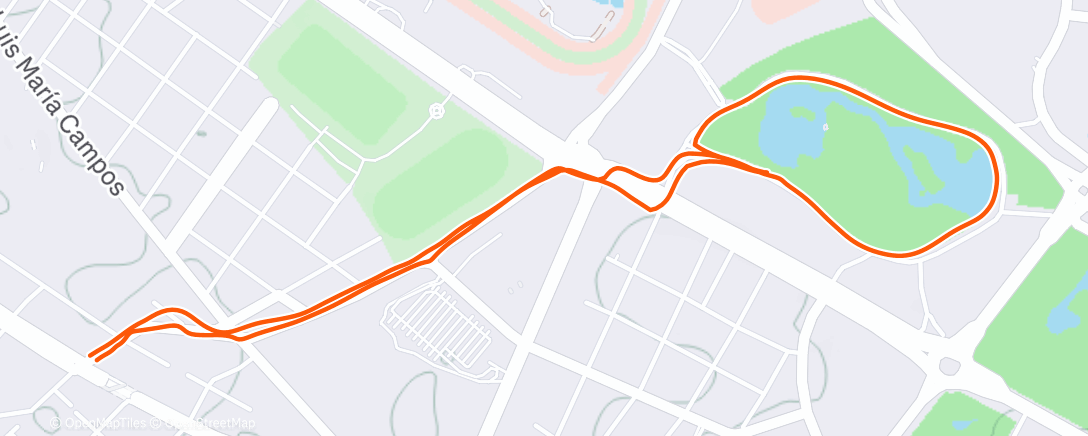 Map of the activity, Вечерний забег