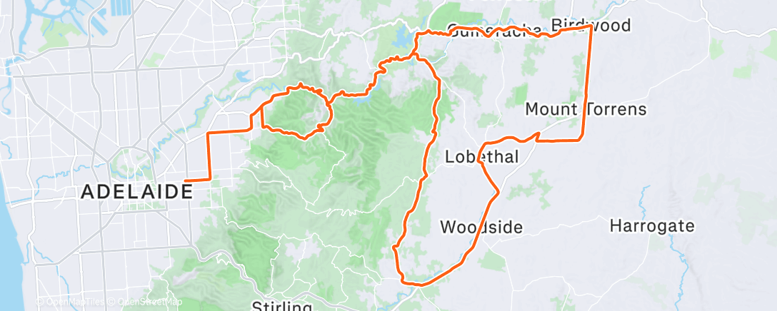 Map of the activity, Miki 👏🏼👏🏼