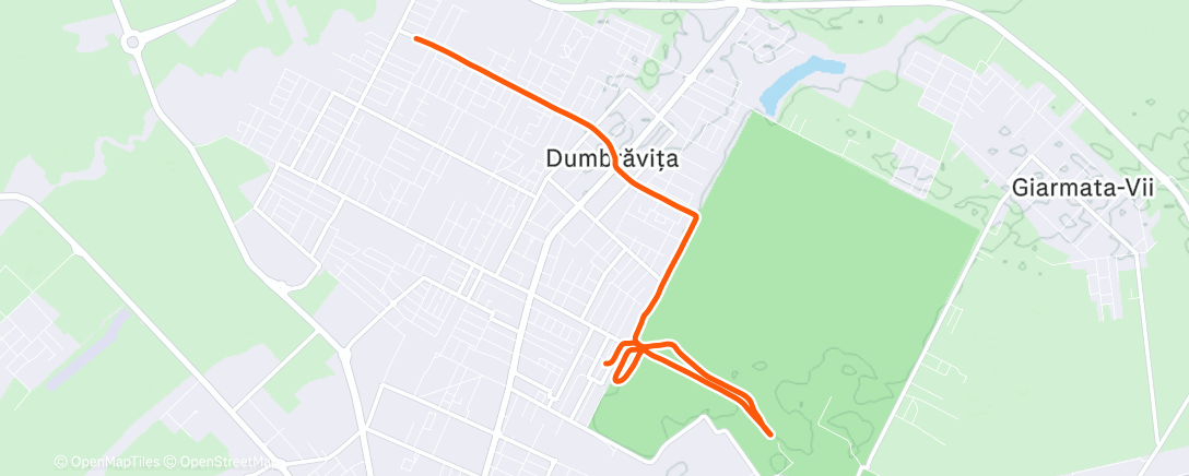 Карта физической активности (Afternoon Run)