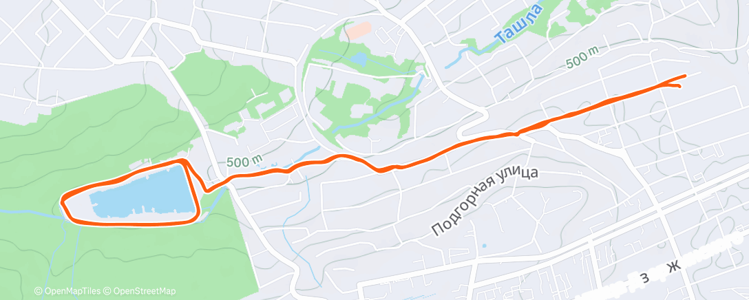 Карта физической активности (Утренний забег)