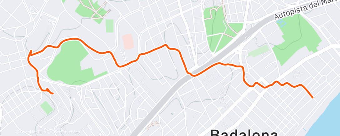 Карта физической активности (Caminata de tarde)