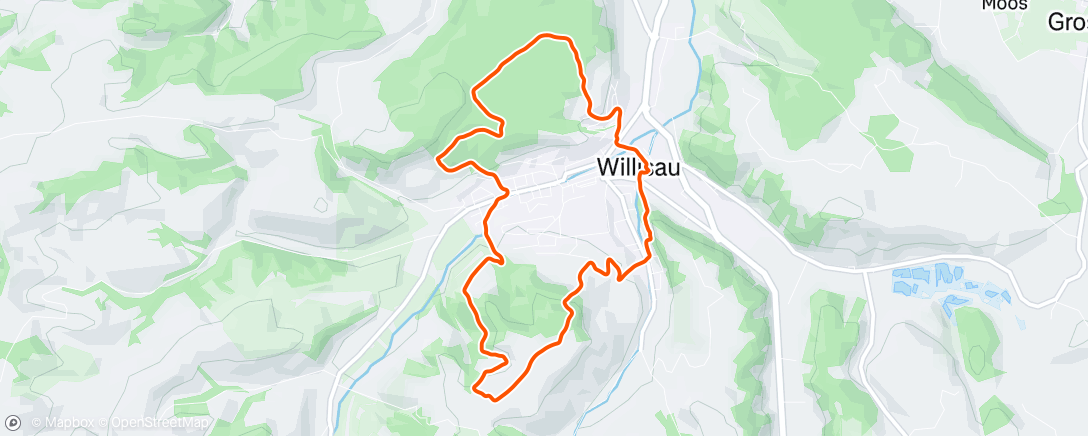 Map of the activity, Morning Run