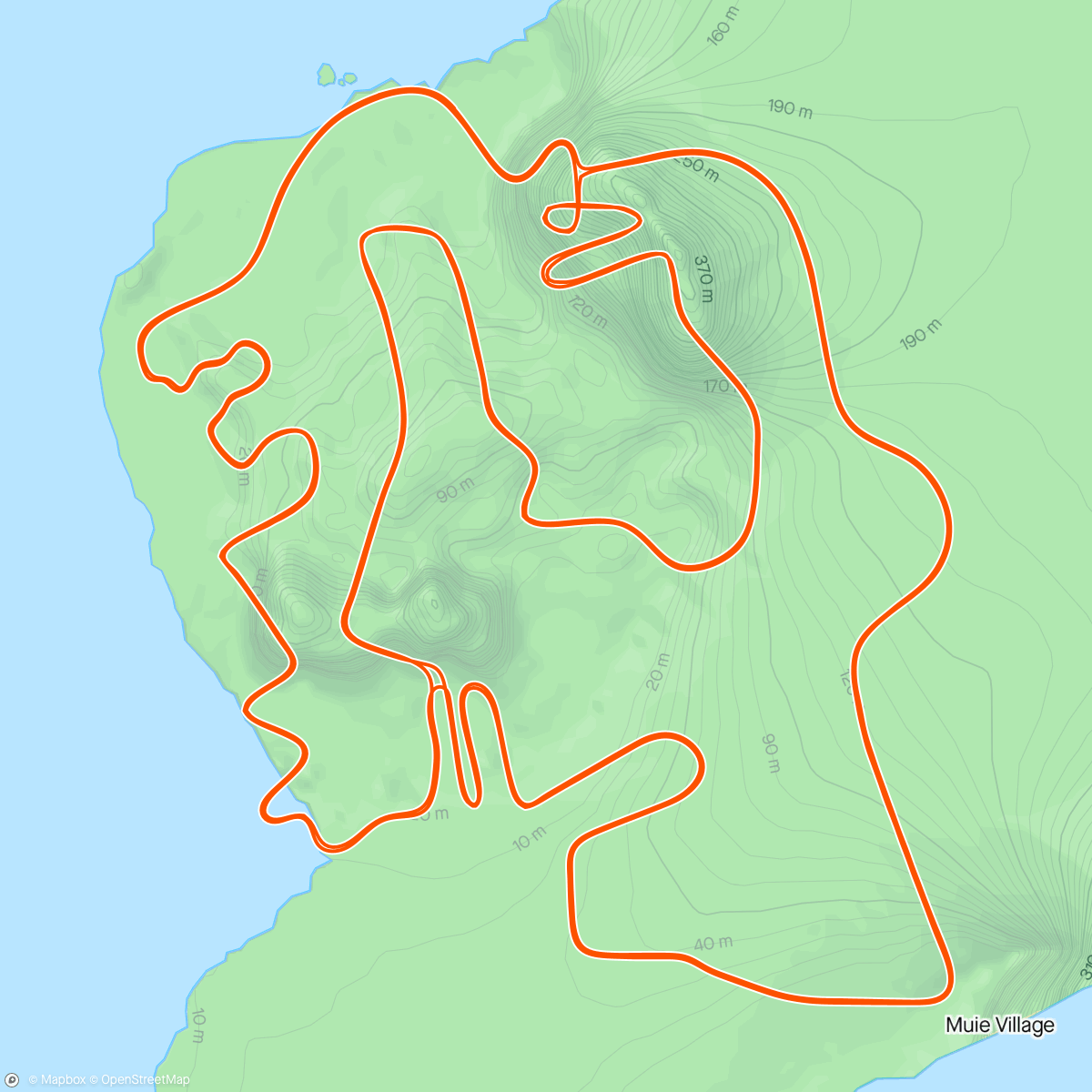 Map of the activity, [2] Zwift - Figure 8 Reverse in Watopia