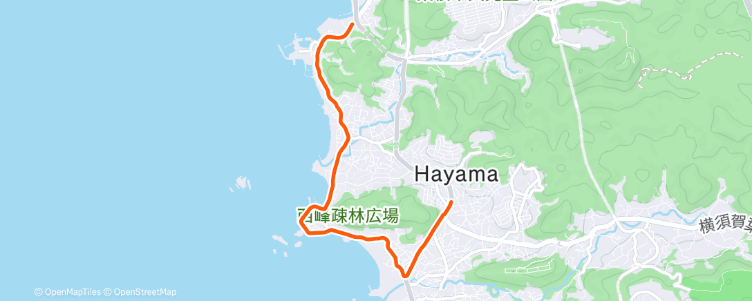 Map of the activity, 午後のランニング