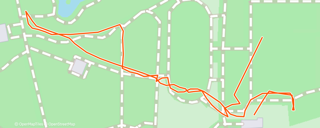 Карта физической активности (My Tractive dog walk with Hana)