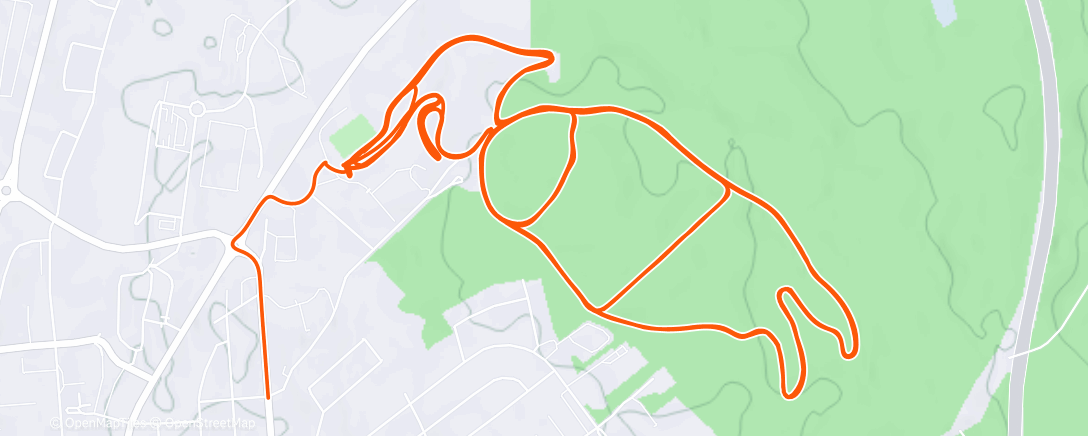 Карта физической активности (Lunch Nordic Ski)