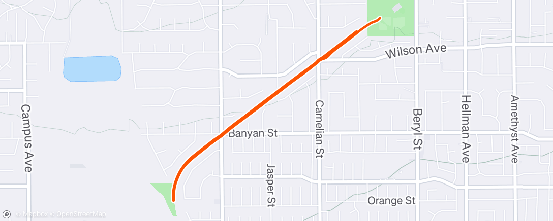 Map of the activity, Evening Run