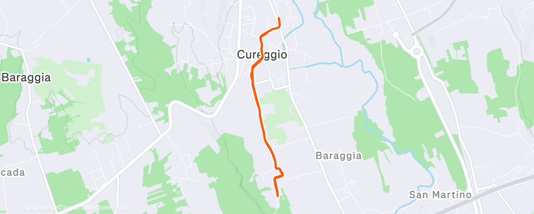 Карта физической активности (Morning Run)