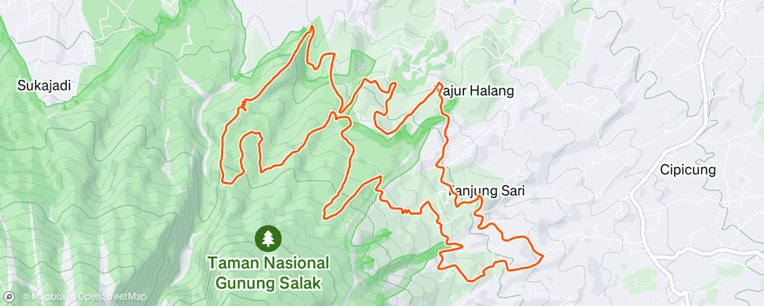 Map of the activity, Morning Trail Run