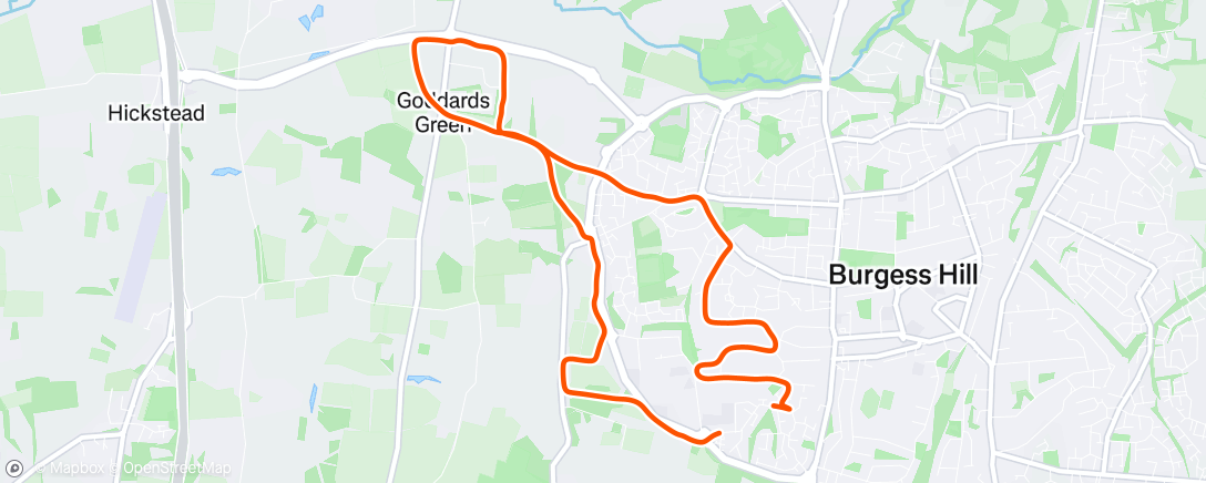 Map of the activity, Fastest 10k this year nearly had to stop in a bush